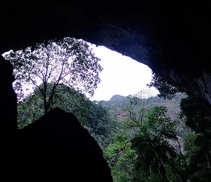 entrada a la cueva